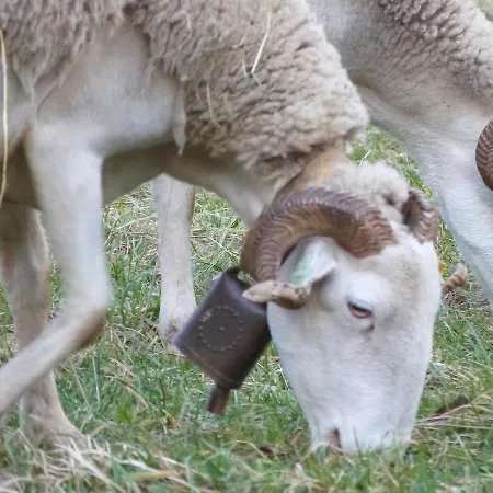 De L'escolan Auberge de jeunesse *